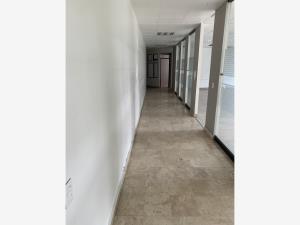 Oficina en renta en Irrigacion, Miguel Hidalgo — foto 3 de 11