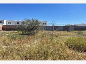 Terreno en renta en San Agustín, Torreón — foto 2 de 2