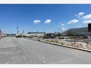 Terreno en venta en San Isidro de las Palomas, Arteaga — foto 3 de 6