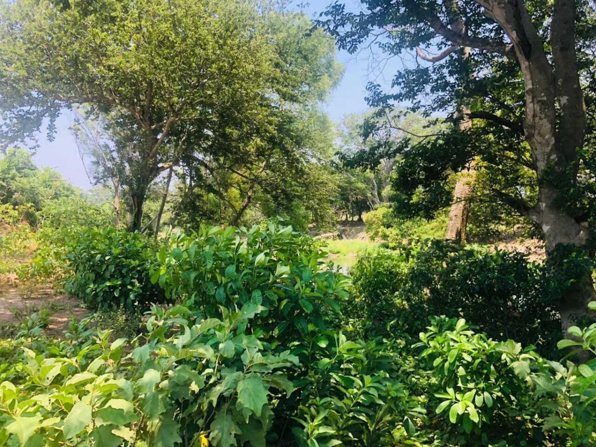 Terreno en venta en La Bocana (Dos Bocas), Medellín de Bravo — foto 1 de 2