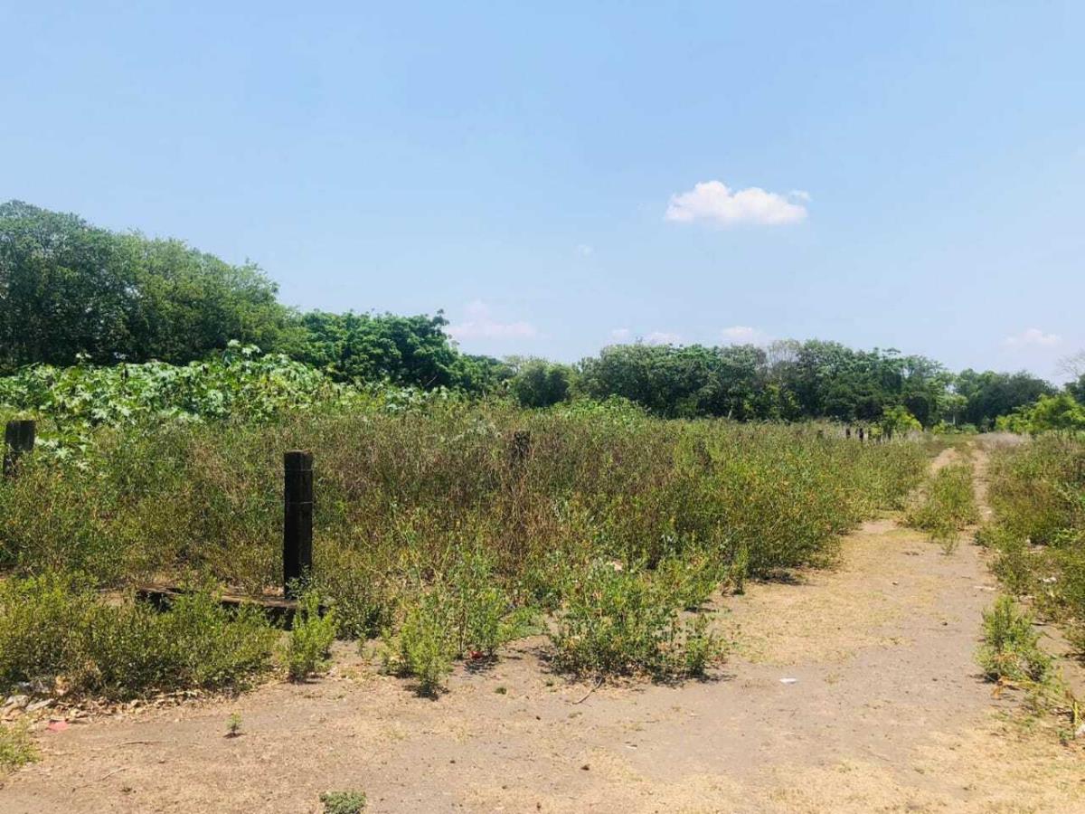 Terreno en venta en La Bocana (Dos Bocas), Medellín de Bravo — foto 1 de 3