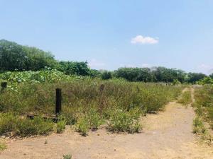 Terreno en venta en La Bocana (Dos Bocas), Medellín de Bravo, Veracruz de Ignacio de la Llave Terreno en venta en La Bocana (Dos Bocas), Medellín de Bravo, Veracruz de Ignacio de la Llave