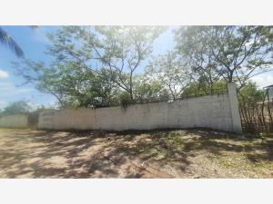 Terreno en venta en Gabriel Tepepa, Cuautla — foto 3 de 5