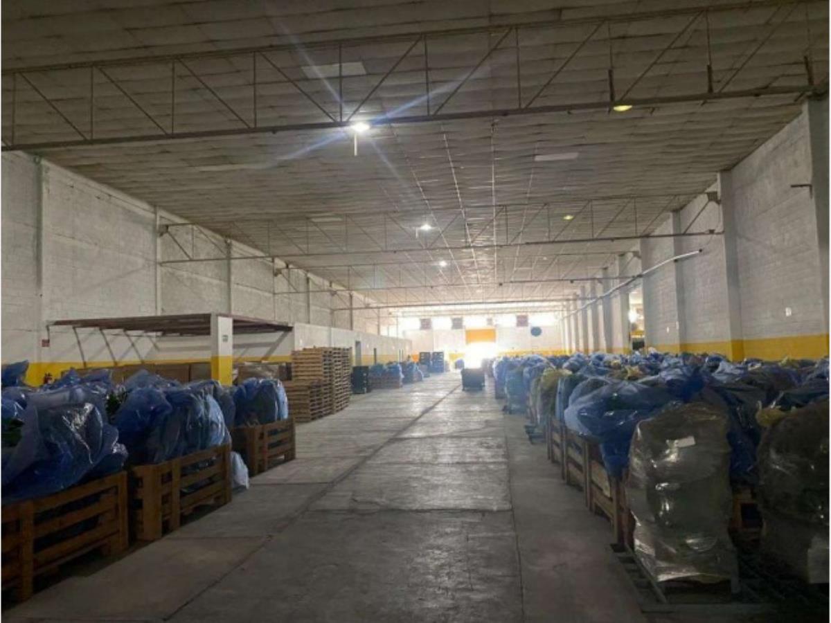 Bodega en Renta en Plaza Jumbo, Torreón, Coahuila de Zaragoza