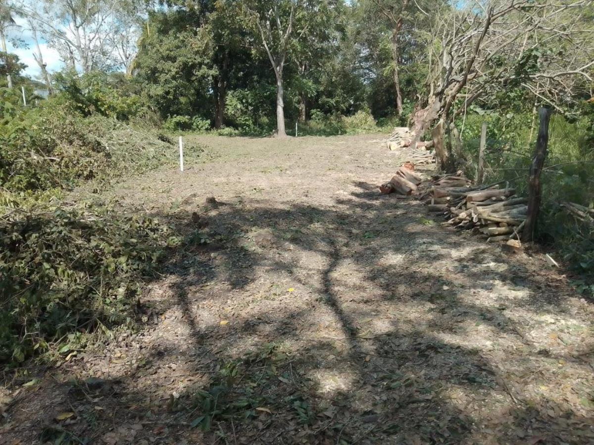 Terreno en venta en San Luis, Jalpa de Méndez — foto 1 de 6