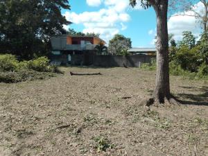 Terreno en venta en San Luis, Jalpa de Méndez — foto 3 de 6