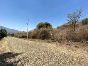Terreno en venta en Huertos Agua Azul, Morelia — foto 3 de 5