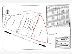 Terreno en venta en Miradores (Miradores del Mar), Emiliano Zapata — foto 3 de 3