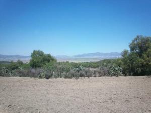 Terreno en venta en San Pedro Tlaquilpan, Zempoala — foto 3 de 7