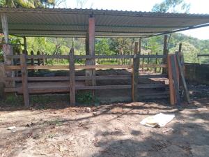 Finca-Rancho en venta en Camoapita 1ra. Sección A (San Isidro), Pichucalco — foto 2 de 17