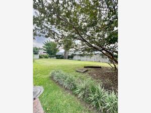 Terreno en venta en Los Viveros, Jiutepec — foto 2 de 12