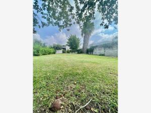 Terreno en venta en Los Viveros, Jiutepec — foto 3 de 12