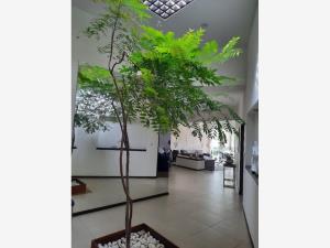 Casa en venta en Corporativos Tres Marías, Morelia — foto 3 de 9