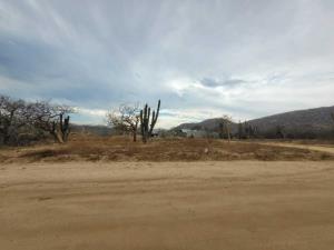 Terreno en venta en El Tezal, Los Cabos — foto 2 de 5