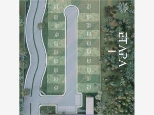Terreno en venta en Comalcalco Centro, Comalcalco — foto 3 de 19