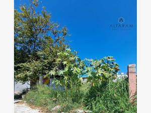 Terreno en venta en Jesus Luna Luna, Ciudad Madero — foto 2 de 2