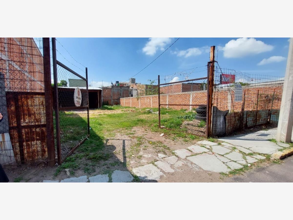 Terreno en renta en Alvaro Obregon, Irapuato — foto 1 de 8