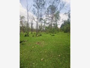 Terreno en venta en Emiliano Zapata, Morelia — foto 2 de 10