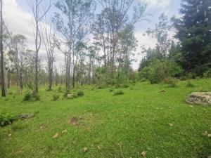 Terreno en venta en Emiliano Zapata, Morelia — foto 3 de 10