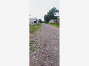 Terreno en venta en El Chivato (Providencia), Villa de Álvarez — foto 3 de 7
