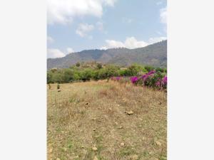 Terreno en venta en San Sebastián, Malinalco — foto 3 de 4