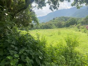 Terreno en venta en San Sebastián, Malinalco — foto 3 de 4
