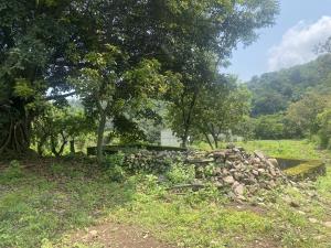 Terreno en venta en San Sebastián, Malinalco — foto 2 de 6