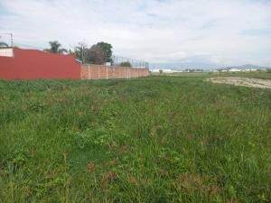 Terreno en venta en San Bernardino Tlaxcalancingo, San Andrés Cholula — foto 3 de 6
