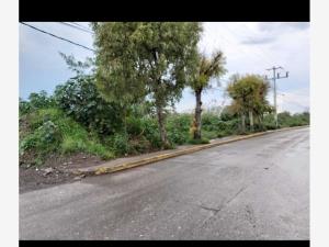Terreno en venta en Lázaro Cárdenas (Zona Hornos), Tultitlán, México