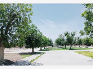 Terreno en venta en La Barranca, Torreón — foto 2 de 2