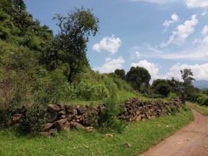 Terreno en venta en Tombero, Zacapu — foto 2 de 6