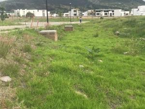 Terreno en venta en Lomas de Angelópolis, San Andrés Cholula — foto 2 de 5