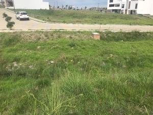 Terreno en venta en Lomas de Angelópolis, San Andrés Cholula — foto 3 de 5