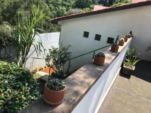 Casa en venta en Lomas de Tzompantle, Cuernavaca — foto 2 de 34