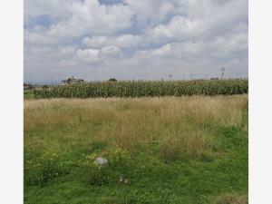 Terreno en venta en San Miguel Totocuitlapilco, Metepec — foto 2 de 3