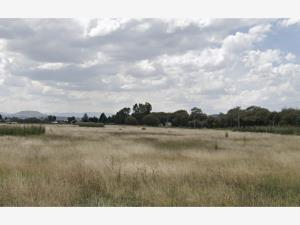 Terreno en venta en San Miguel Totocuitlapilco, Metepec — foto 3 de 3