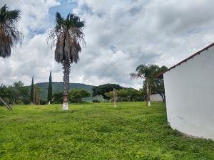 Terreno en venta en La Cofradia, Tuxcueca — foto 2 de 21