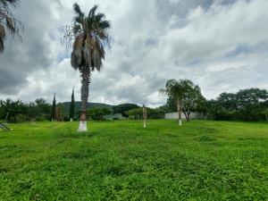 Terreno en venta en La Cofradia, Tuxcueca — foto 3 de 21