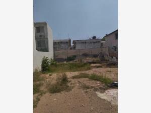 Terreno en venta en Ricardo Flores Magón, Veracruz — foto 2 de 6