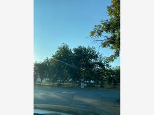 Terreno en venta en Las Trojes, Torreón — foto 3 de 6