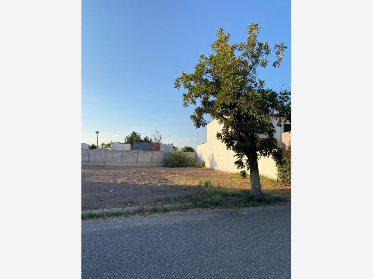 Terreno en Venta en Las Trojes, Torreón, Coahuila de Zaragoza
