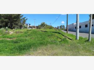 Terreno en venta en Arroyo Zarco, Aculco — foto 3 de 8