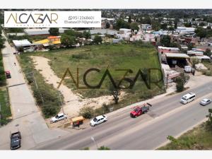 Terreno en venta en Sauces, San Jacinto Amilpas — foto 3 de 4