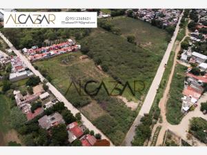 Terreno en venta en San Jacinto Amilpas, San Jacinto Amilpas — foto 3 de 3