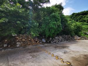 Terreno en venta en Joyas de Brisamar, Acapulco de Juárez — foto 2 de 5