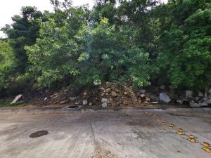 Terreno en venta en Joyas de Brisamar, Acapulco de Juárez — foto 3 de 5