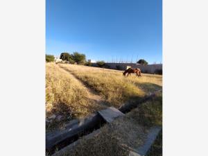 Terreno en venta en Tlalixtac de Cabrera, Tlalixtac de Cabrera — foto 3 de 18