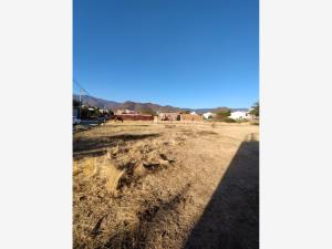Terreno en venta en Tlalixtac de Cabrera, Tlalixtac de Cabrera — foto 3 de 18