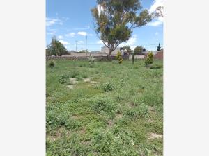 Terreno en venta en Acayuca, Zapotlán de Juárez — foto 2 de 6