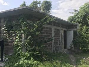 Terreno en venta en Tepetzingo, Emiliano Zapata — foto 3 de 13